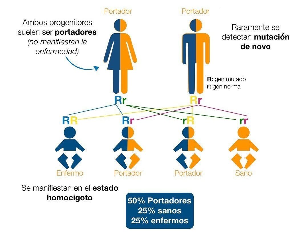 Herencia Autosómica Recesiva - Diagnostico En Casa